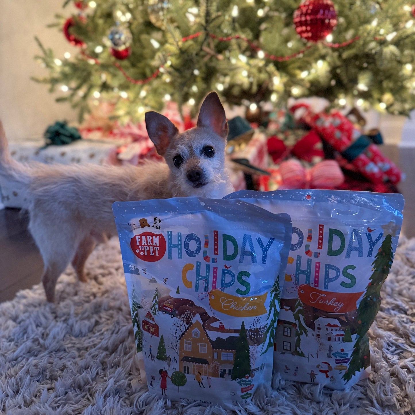 Holiday Chips Dog Treats - Chicken & Turkey 12oz