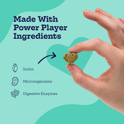 Pre + Pro Biotic Chews